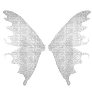 flügel wings - δωρεάν png