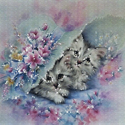 kikkapink spring cats animated cat background - 無料のアニメーション GIF