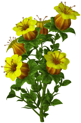 Flores amarillas - gratis png