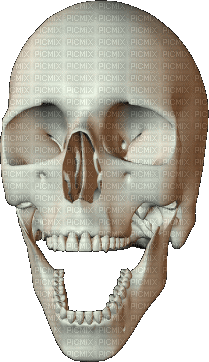 skull - Δωρεάν κινούμενο GIF