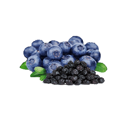 blueberries bp - GIF animado gratis