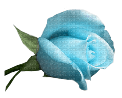 rose bleu.Cheyenne63 - kostenlos png