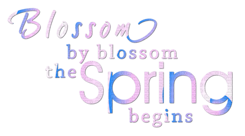 Spring.Text.Pink.Blue - png gratuito
