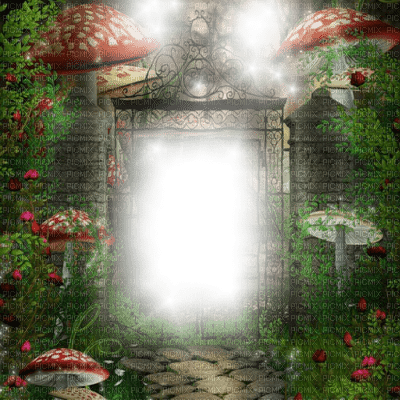 fond autumn automne mushrooms - 免费PNG