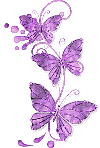 papillon - фрее пнг