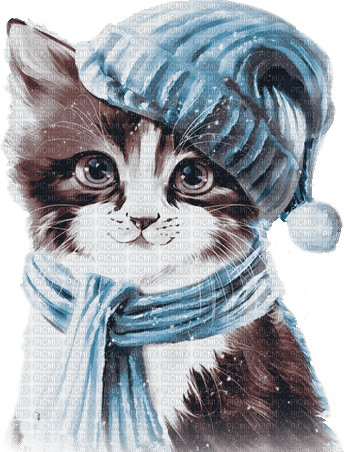 soave cat animals winter deco brown blue - png grátis