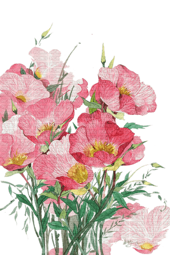 pink_flowers  Bb2 - darmowe png
