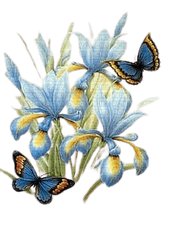 loly33 fleur papillon - ücretsiz png