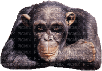 pixmic - GIF animasi gratis