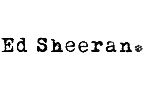 Ed Sheeran milla1959 - png gratuito