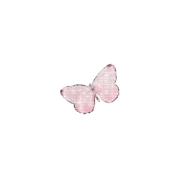 Vanessa Valo _crea=pink butterfly animated - GIF animé gratuit
