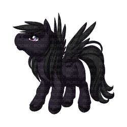 shadow pony - Free PNG