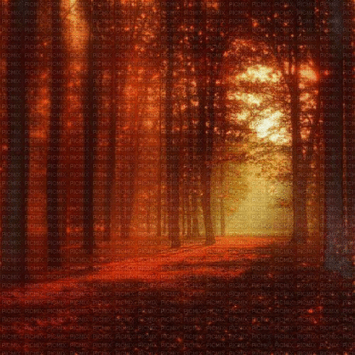 autumn - 免费动画 GIF