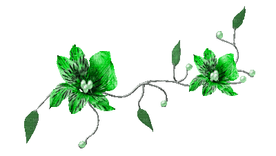 soave branch animated flowers black white green - Free animated GIF