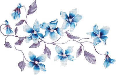 soave deco branch animated flowers spring blue - GIF animate gratis