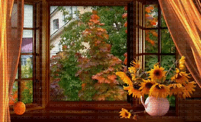 liikeanimaatio, window, effect, ikkuna - GIF animé gratuit