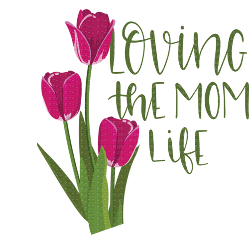 Kaz_Creations Text-Loving-The-Mom-Life - zadarmo png