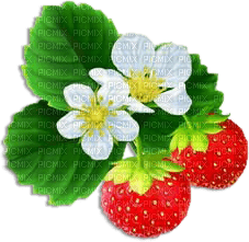 soave deco  strawberry red green - 無料png