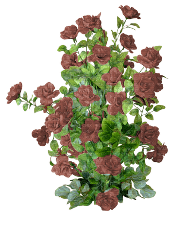 autumn deco kikkapink png brown rose - png gratis