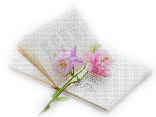 Libro de poemas con flores - png ฟรี