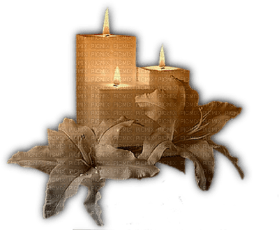 candle - darmowe png