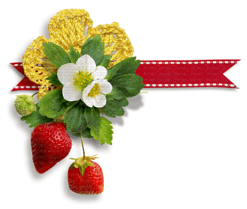 Strawberry Cluster - zdarma png