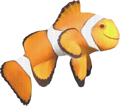 dolceluna fish summer - бесплатно png