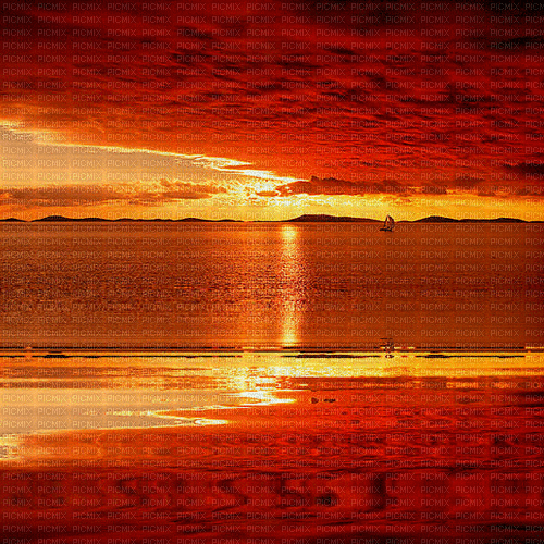 orange background by nataliplus - Gratis geanimeerde GIF
