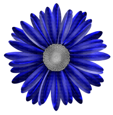 Kaz_Creations Deco Flower Colours - gratis png