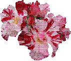 Kwiaty 9 - 免费PNG