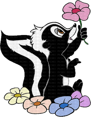 skunk by nataliplus - gratis png
