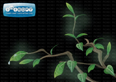 cây lá - Darmowy animowany GIF