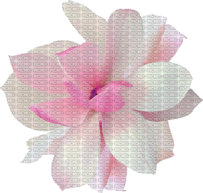 kwiat kolor - Безплатен анимиран GIF