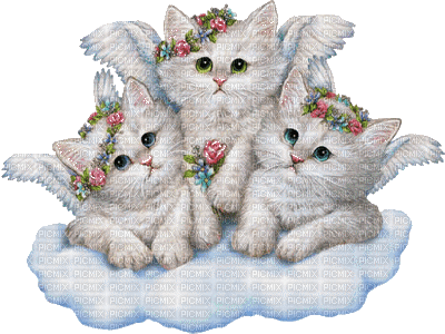 Kaz_Creations Angel Cats Kittens Cat Kitten - bezmaksas png