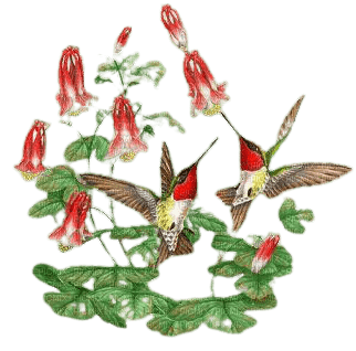 kikkapink vintage flowers birds spring painting - besplatni png