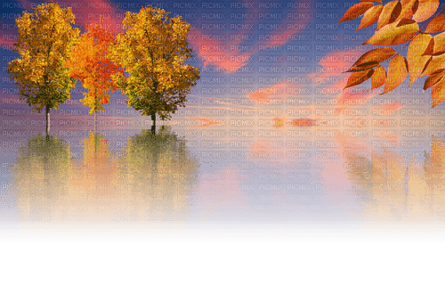fall autumn leaf leaves feuille landscape - 無料png
