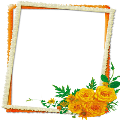 frame cadre flowers - zdarma png