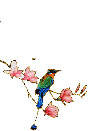 bird - GIF animado grátis