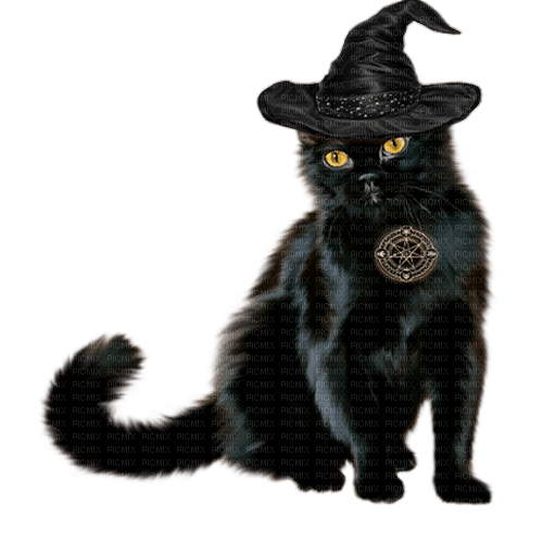 Halloween cat by nataliplus - gratis png