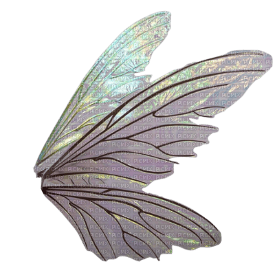 Fairy Wings - ilmainen png