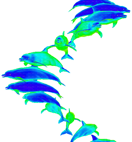 dolphins - Бесплатный анимированный гифка