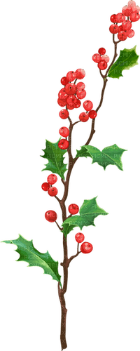 holly Bb2 - bezmaksas png