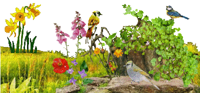 Frühling printemps spring - Zdarma animovaný GIF