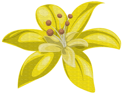Kaz_Creations Flowers Flower - png ฟรี