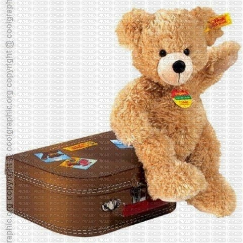 travel bear - PNG gratuit