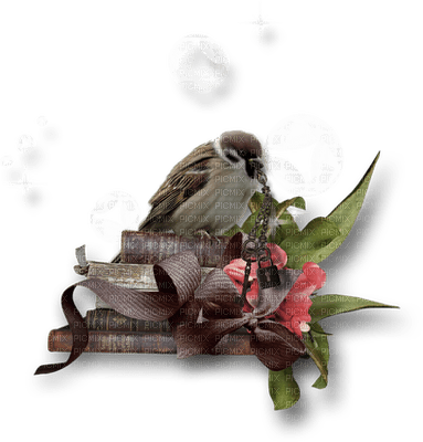 bird-fågel-böcker-bok-deco-minou52 - png ฟรี