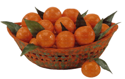 fruit oranges bp - gratis png