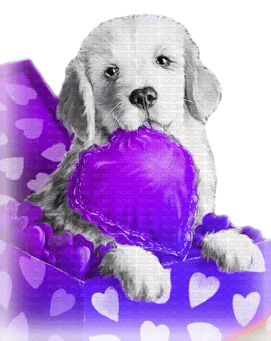 soave valentine deco animals dog heart - PNG gratuit