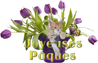 jouyeuses fete de paques chat - Darmowy animowany GIF