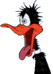 daffy duck - GIF animé gratuit